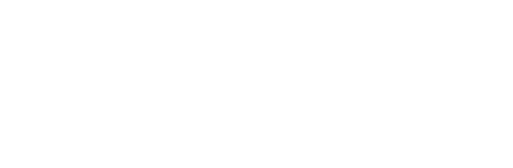Fogo Chain Logo